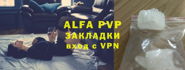 PSILOCYBIN Балабаново