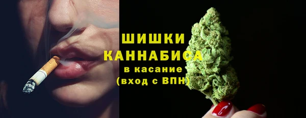 СК Белокуриха
