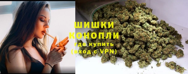 PSILOCYBIN Балабаново