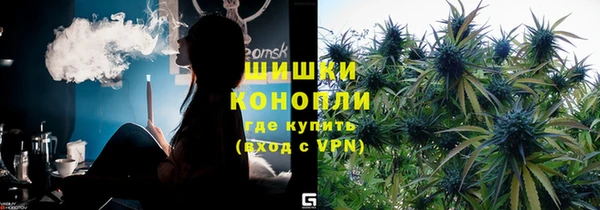 PSILOCYBIN Балабаново