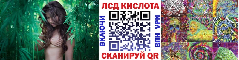 Марки 25I-NBOMe 1,5мг  что такое наркотик  kraken ТОР  Краснослободск 